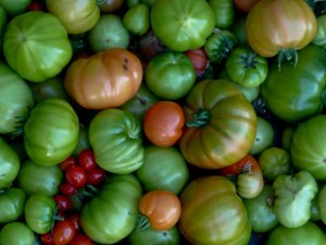 Green-tomatoes